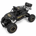 4WD Monster Truck with Dragon 2.4Ghz Remote Control Black