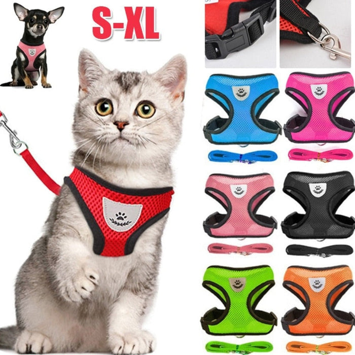 Adjustable Pet Harness with Leash: Ensuring Comfort and Control for Your Furry Friend: red, blue cat and dog, practical carto