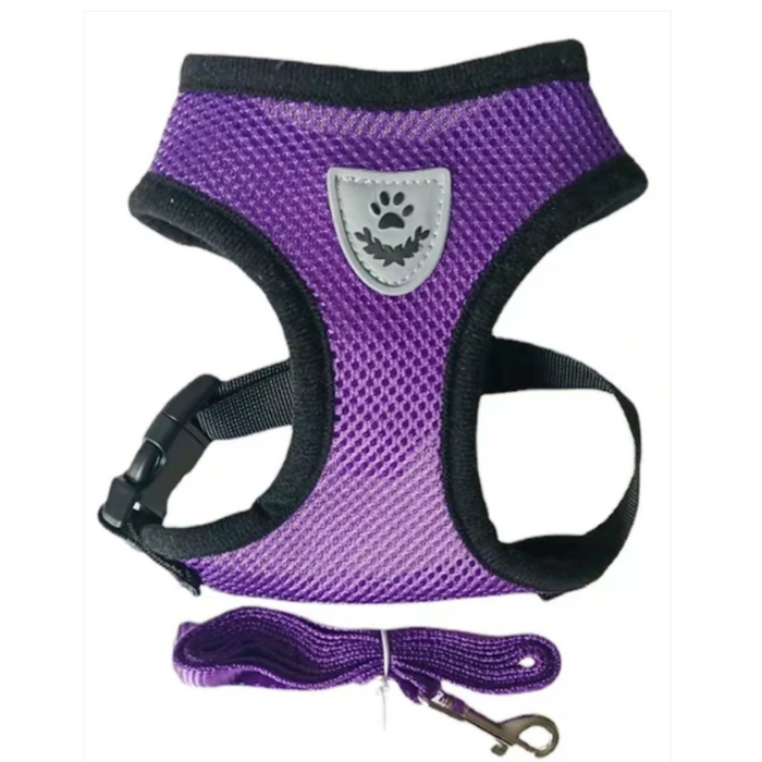 Adjustable Pet Harness with Leash: Ensuring Comfort and Control for Your Furry Friend: red, blue cat and dog, practical carto