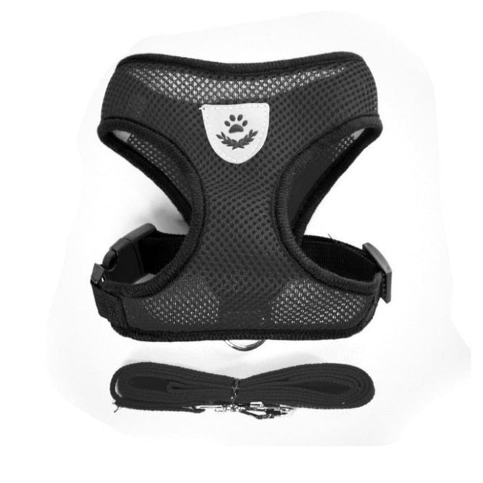 Adjustable Pet Harness with Leash: Ensuring Comfort and Control for Your Furry Friend: red, blue cat and dog, practical carto