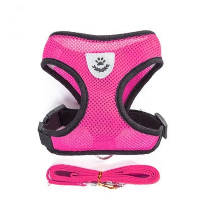 Adjustable Pet Harness with Leash: Ensuring Comfort and Control for Your Furry Friend: red, blue cat and dog, practical carto