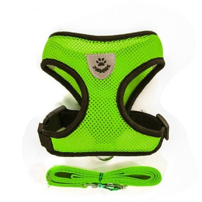 Adjustable Pet Harness with Leash: Ensuring Comfort and Control for Your Furry Friend: red, blue cat and dog, practical carto