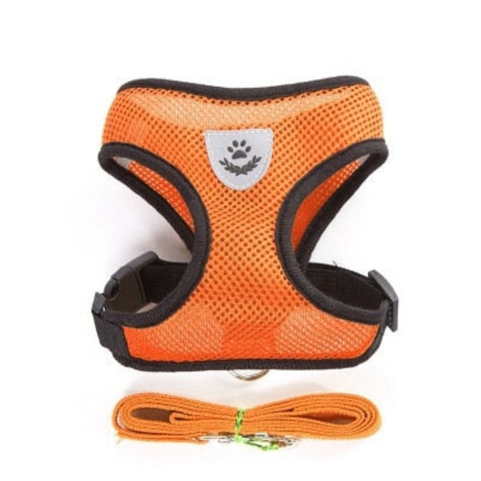 Adjustable Pet Harness with Leash: Ensuring Comfort and Control for Your Furry Friend: red, blue cat and dog, practical carto