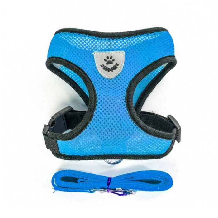 Adjustable Pet Harness with Leash: Ensuring Comfort and Control for Your Furry Friend: red, blue cat and dog, practical carto