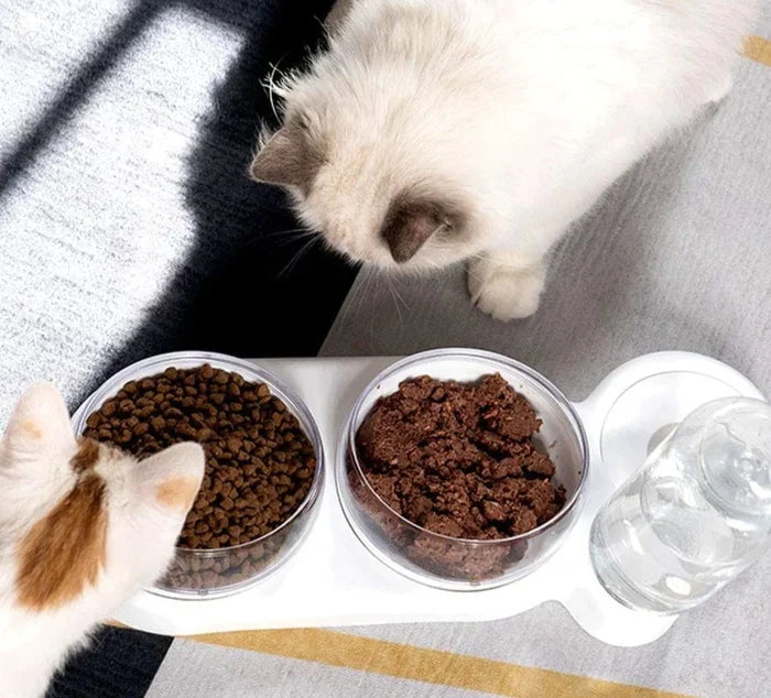 Automatic Tilted Pet Bowl Collection: light gray, clear cat and dog, minimal modern pet accessory style