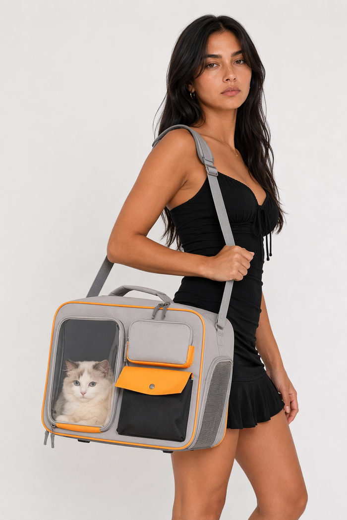 Breathable Clear Pet Travel Backpack Gray