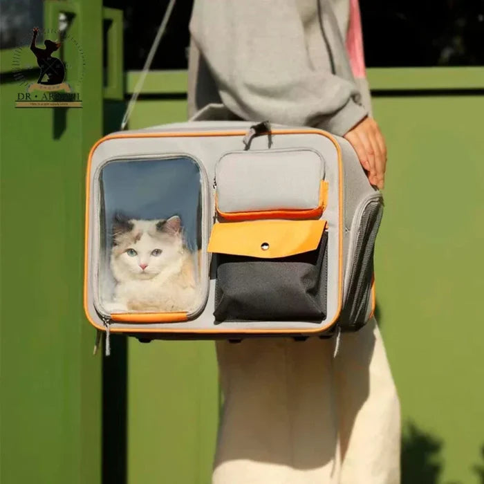 Breathable Clear Pet Travel Backpack: light gray, orange cat, minimal style