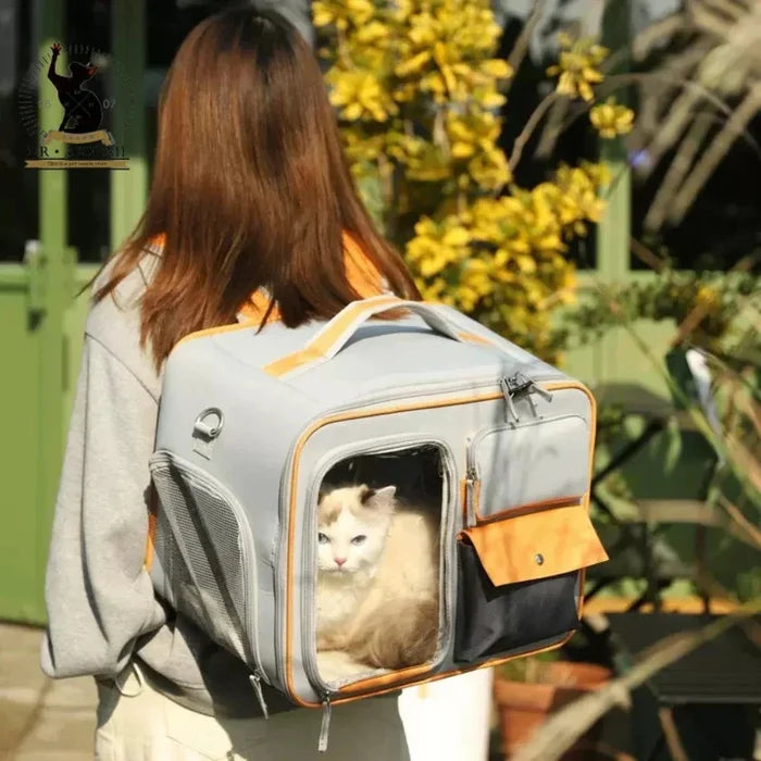 Breathable Clear Pet Travel Backpack: light gray, orange cat, minimal style