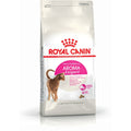 V9HEC75EBFE124E6E7AC06DC154E638B6A4R3587219P1