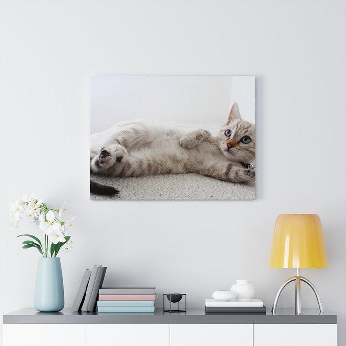 Charming Feline Canvas Wall Decor: white, cream cat, realistic photographic style