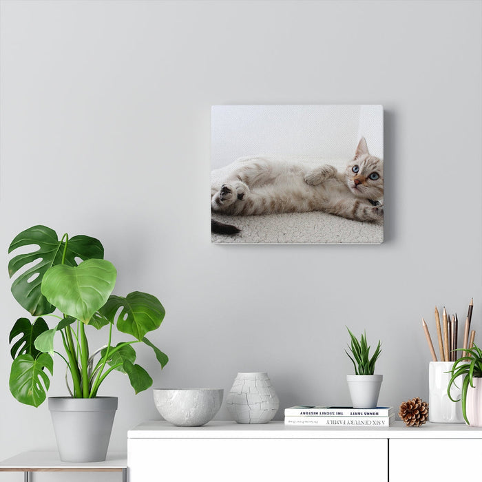 Charming Feline Canvas Wall Decor: white, cream cat, realistic photographic style