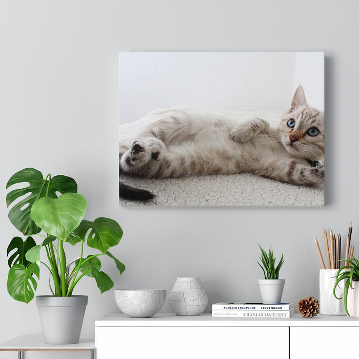 Charming Feline Canvas Wall Decor: white, cream cat, realistic photographic style