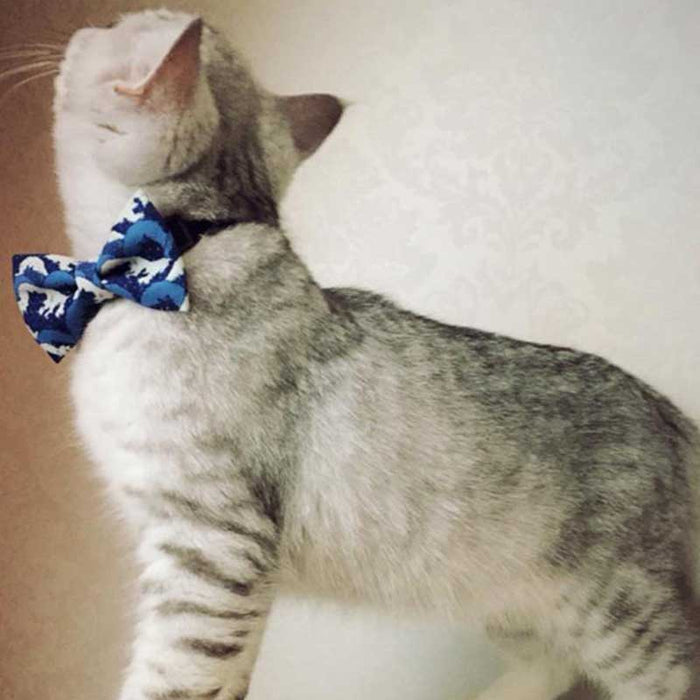 Cute Dog Bow Ties with Velvet Collar: multicolor, black bow ties, colorful patterned style