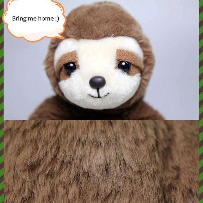 Cute Sloth Plush Toys, Irresistible Charm
