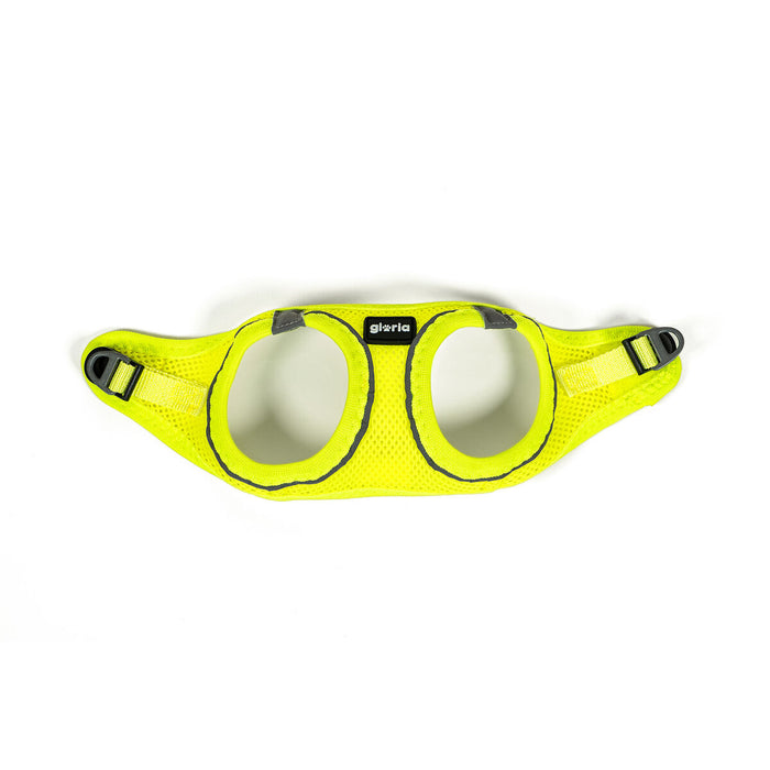 V8H13697307A07884DFF6E3C25984B2DA08R5597791P5