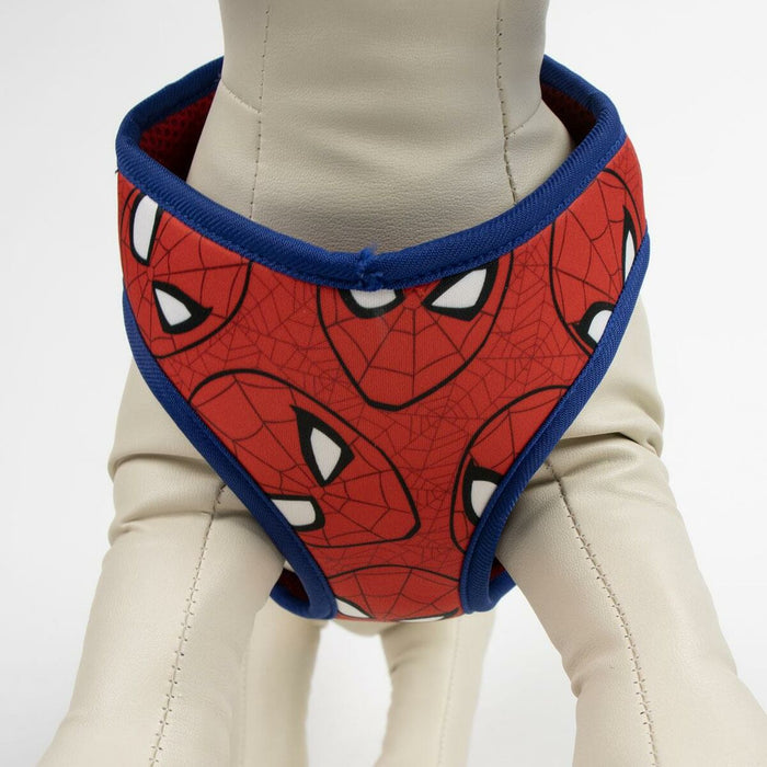 V5H047D9D5BB5252E6B1B6972EBA461ECADR6606617P6
