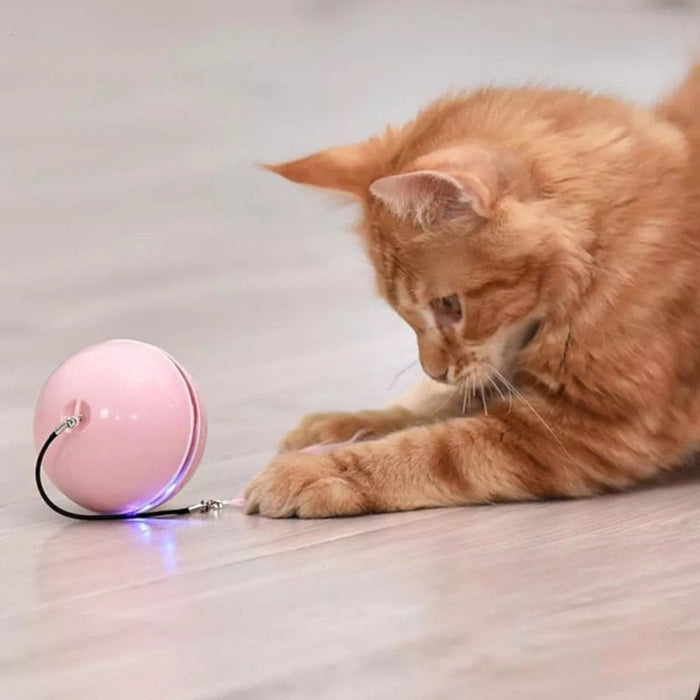 Feather LED Pet Ball with Illumination: pink, black cat, minimal style