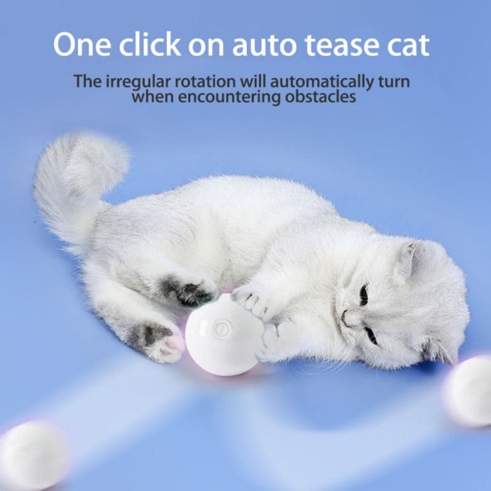 Feather LED Pet Ball with Illumination: pink, black cat, minimal style