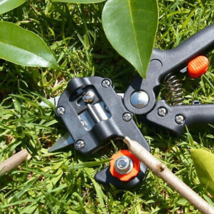 Gardening Shears with Two Blades for Pruning and Trimming: black, orange garden branch, functional garden tool style