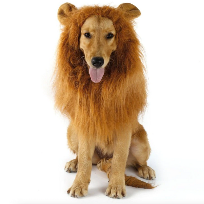 Lion Mane Canine Hairpiece: golden brown, tan lion, realistic animal costume style