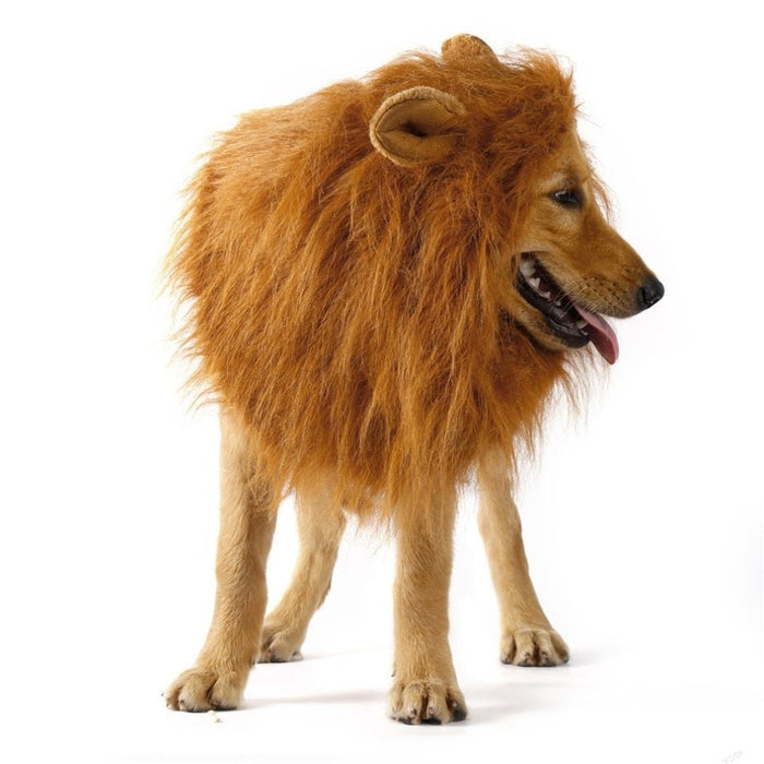 Lion Mane Canine Hairpiece: golden brown, tan lion, realistic animal costume style