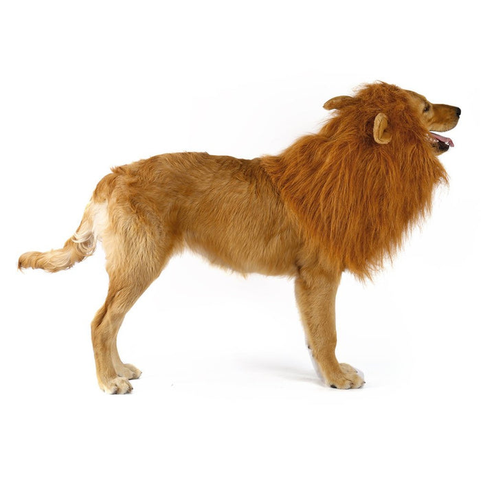 Lion Mane Canine Hairpiece: golden brown, tan lion, realistic animal costume style