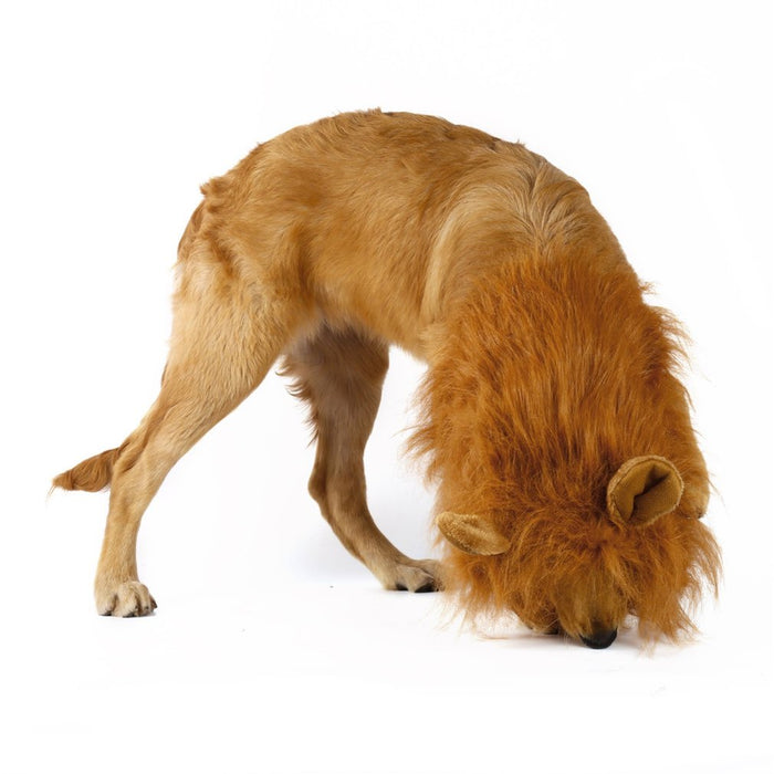 Lion Mane Canine Hairpiece: golden brown, tan lion, realistic animal costume style