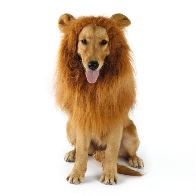 Lion Mane Canine Hairpiece: golden brown, tan lion, realistic animal costume style