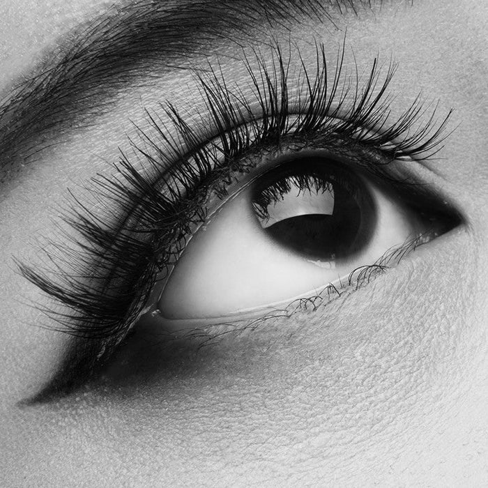 Mink False Eyelashes in 3D Style: black, gray close-up eye makeup photograph, beauty photography style