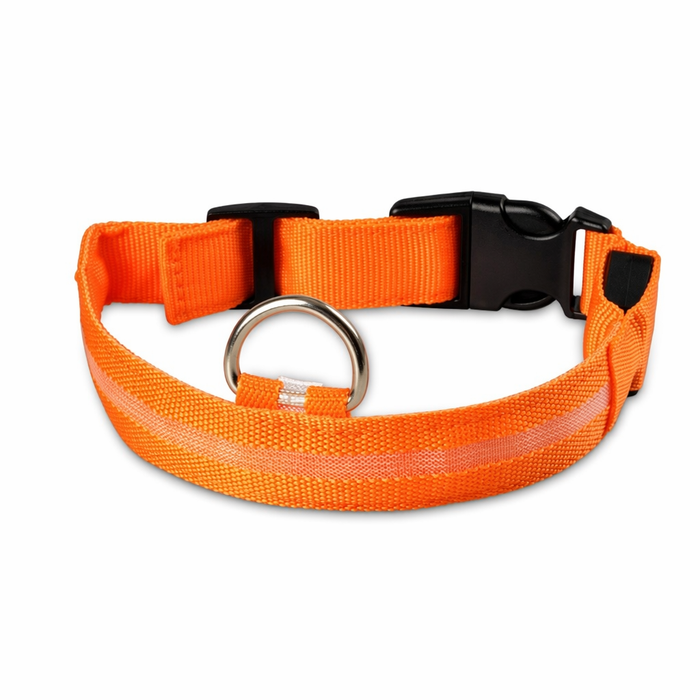 Orange / S