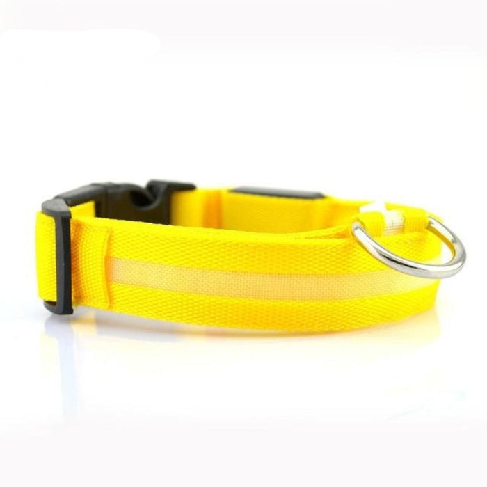 Nylon LED Dog Collar Set of 2: blue, purple dog (Siberian Husky), functional pet accessory style
