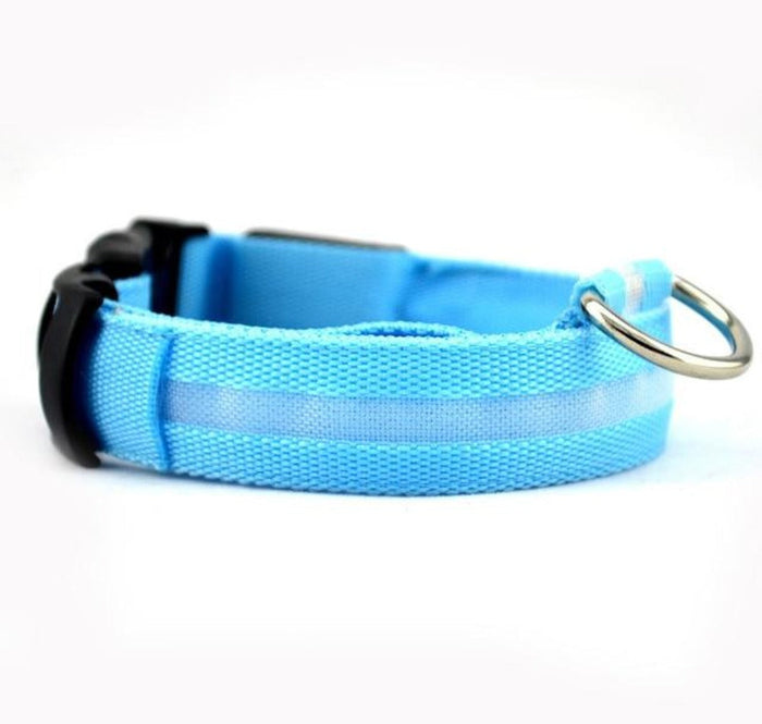Nylon LED Dog Collar Set of 2: blue, purple dog (Siberian Husky), functional pet accessory style