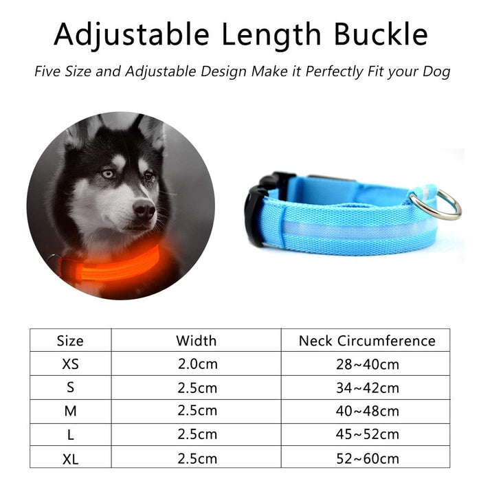 Nylon LED Dog Collar Set of 2: blue, purple dog (Siberian Husky), functional pet accessory style