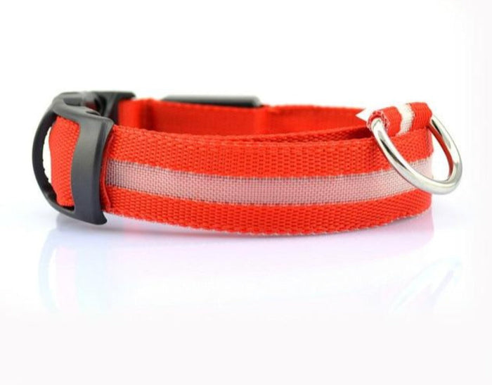 Nylon LED Dog Collar Set of 2: blue, purple dog (Siberian Husky), functional pet accessory style