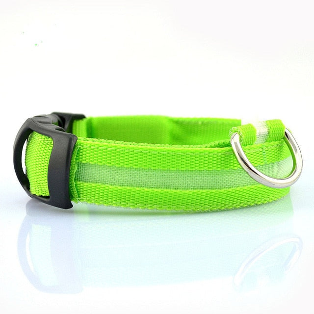 Nylon LED Dog Collar Set of 2: blue, purple dog (Siberian Husky), functional pet accessory style