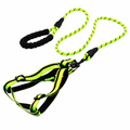 Padded Handle Comfort Dog Leash for Maximum Comfort GREEN