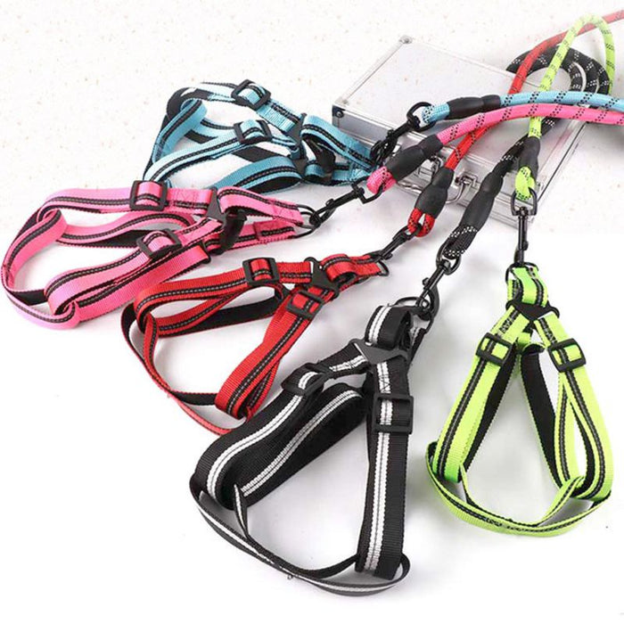 Padded Handle Comfort Dog Leash for Maximum Comfort: pink, red pet harnesses with leashes, functional sporty style
