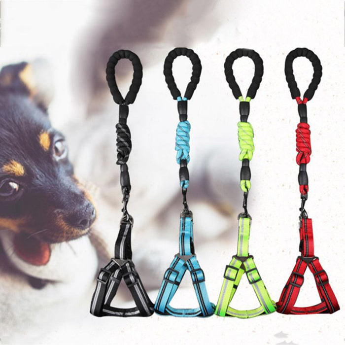 Padded Handle Comfort Dog Leash for Maximum Comfort: pink, red pet harnesses with leashes, functional sporty style