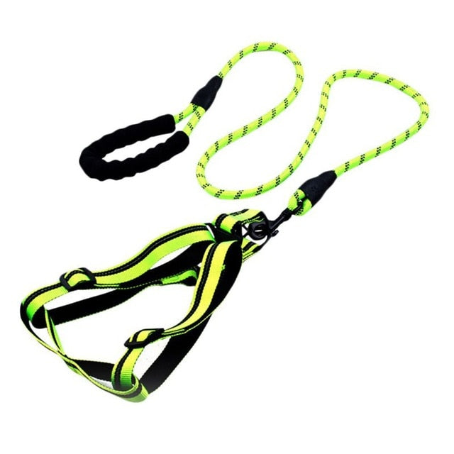 Padded Handle Comfort Dog Leash for Maximum Comfort: pink, red pet harnesses with leashes, functional sporty style