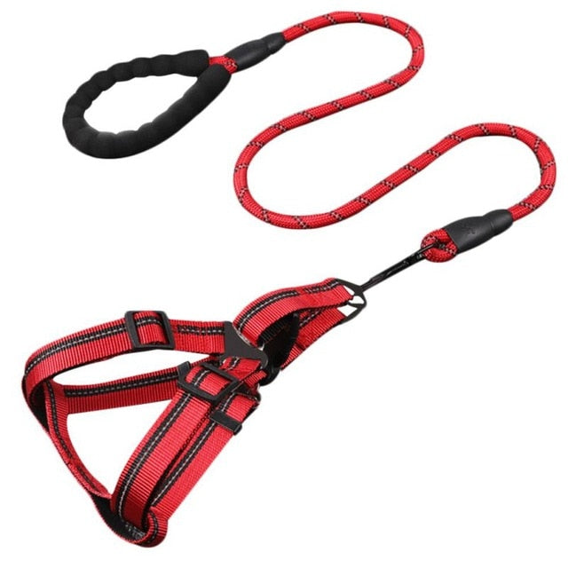 Padded Handle Comfort Dog Leash for Maximum Comfort: pink, red pet harnesses with leashes, functional sporty style