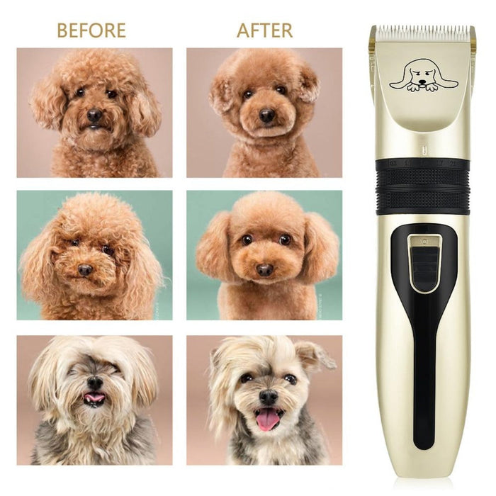 Pet Grooming Kit: Clarifying the Essentials: gold, black electric hair clipper grooming kit, minimal style