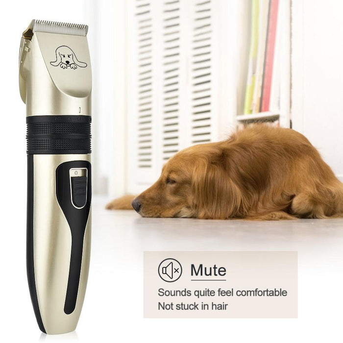 Pet Grooming Kit: Clarifying the Essentials: gold, black electric hair clipper grooming kit, minimal style