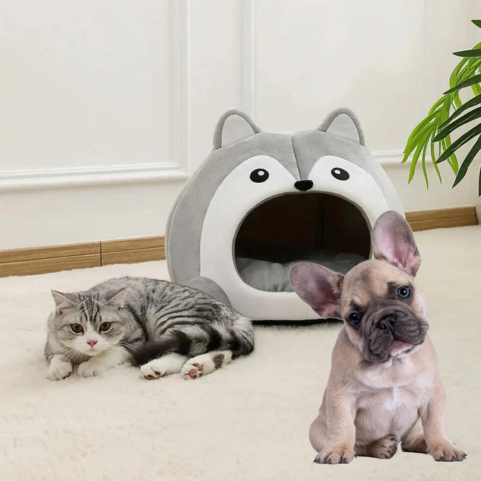 Pet House with a Cartoon Fox Design: gray, white cartoon husky/dog face, kawaii cartoon style