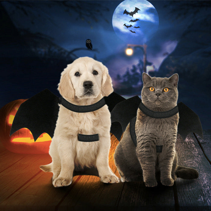 Pet Wings Costume for Halloween, Perfect for Cats and Dogs: black, gray cats and dogs; Halloween bat theme, Halloween costume