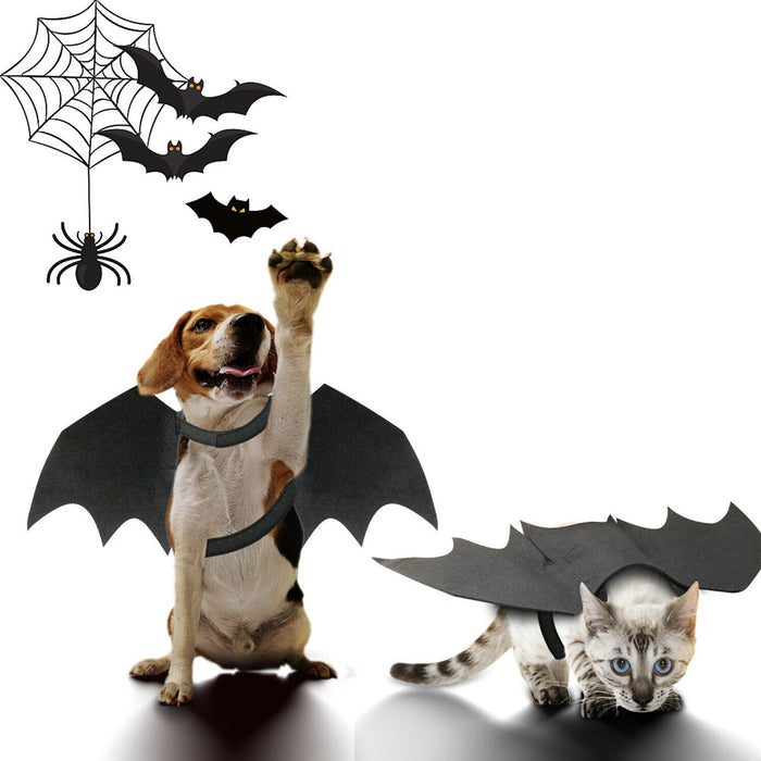 Pet Wings Costume for Halloween, Perfect for Cats and Dogs: black, gray cats and dogs; Halloween bat theme, Halloween costume