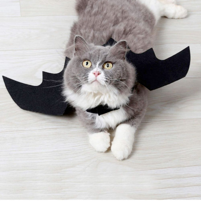 Pet Wings Costume for Halloween, Perfect for Cats and Dogs: black, gray cats and dogs; Halloween bat theme, Halloween costume