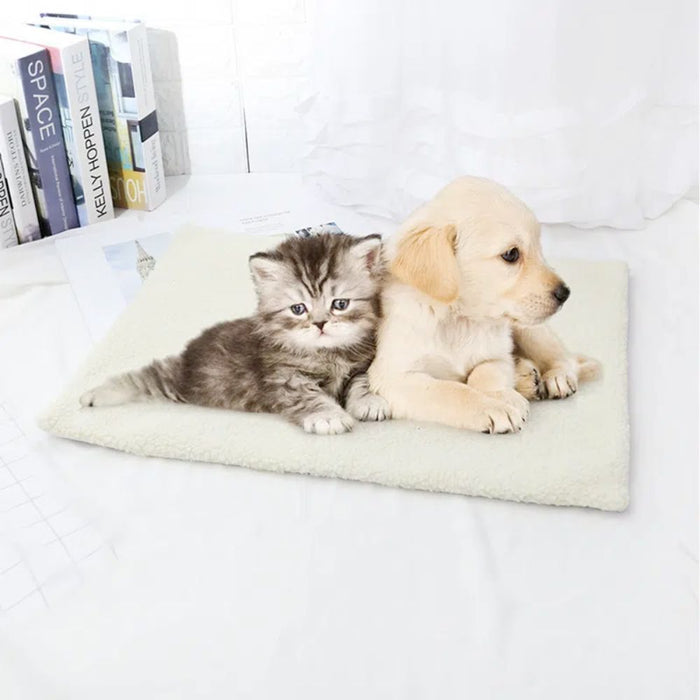 Self-Heating Cozy Pet Blanket: cream, off-white kitten and puppy, minimal style