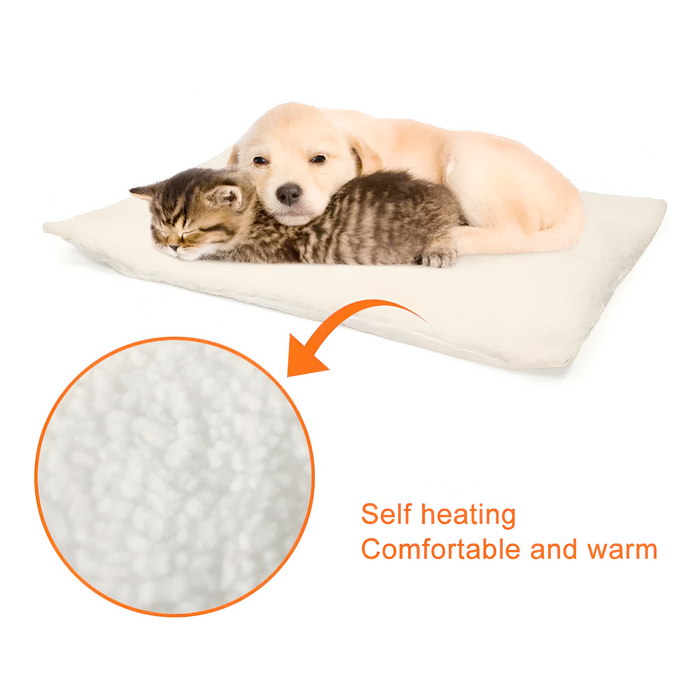 Self-Heating Cozy Pet Blanket: cream, off-white kitten and puppy, minimal style