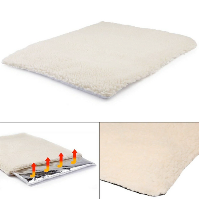 Self-Heating Cozy Pet Blanket: cream, off-white kitten and puppy, minimal style