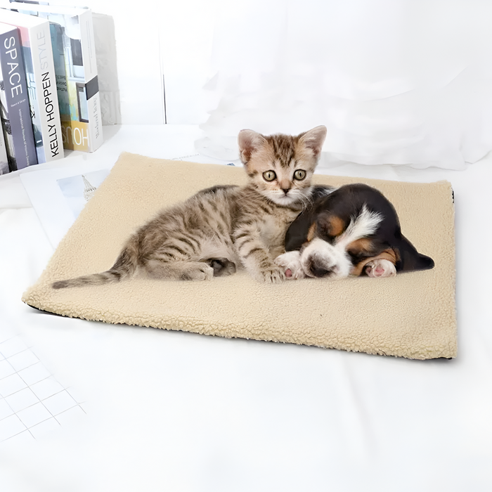 Self-Heating Cozy Pet Blanket: cream, off-white kitten and puppy, minimal style